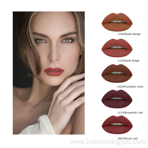 Multi Liquid 5 Colors Cosmetics Lip Gloss Suit